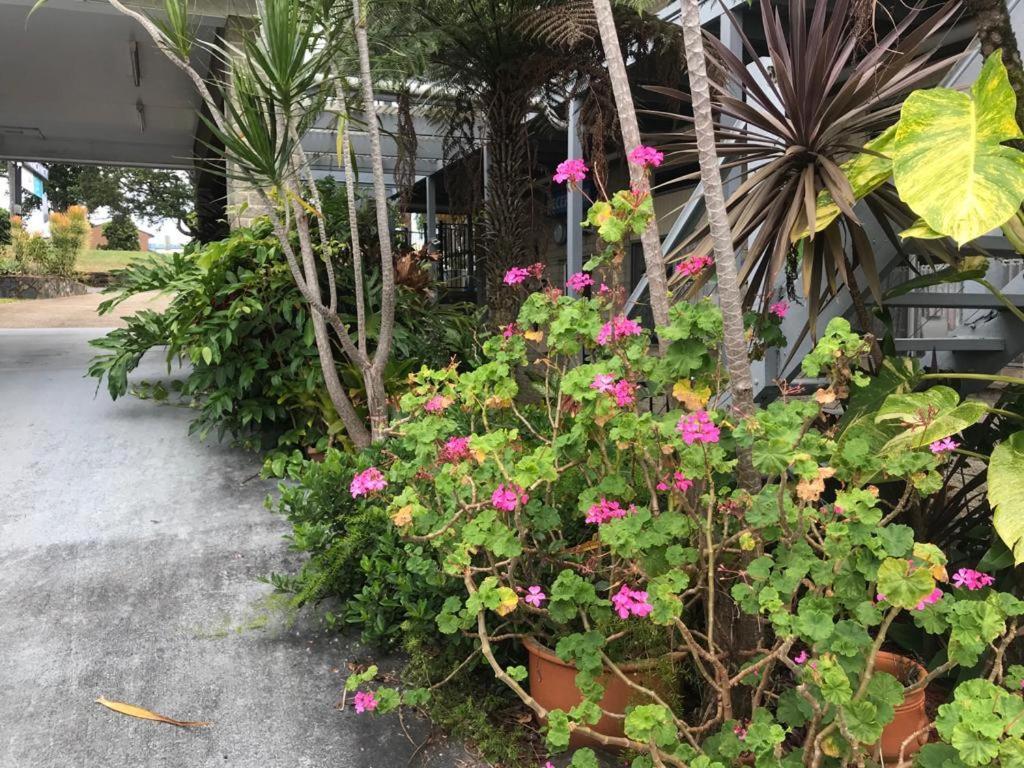 Coffs Shearwater Motel Кофс-Харбор Экстерьер фото